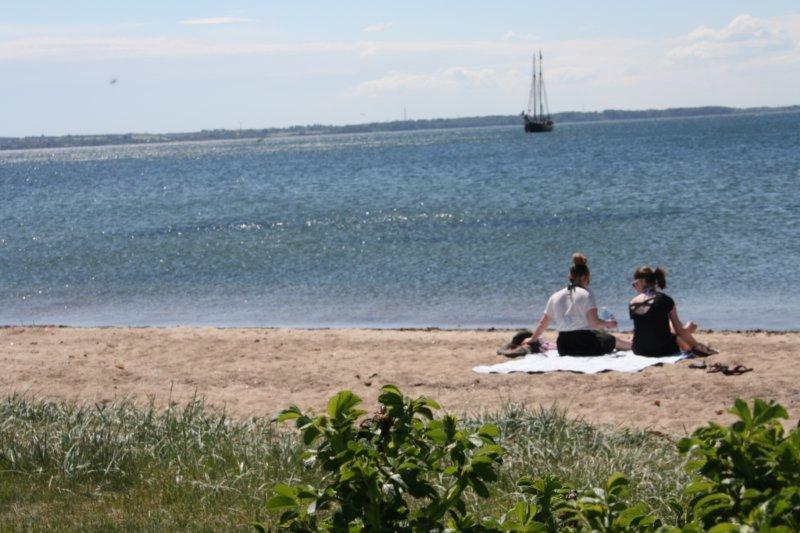 Hotel Rosenvold Strand Camping Stouby Exteriér fotografie